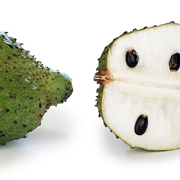 Soursop Graviola