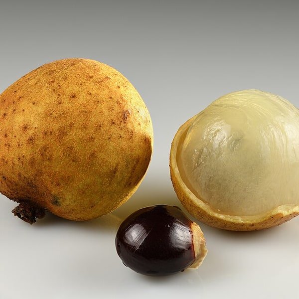 Longan Cluster