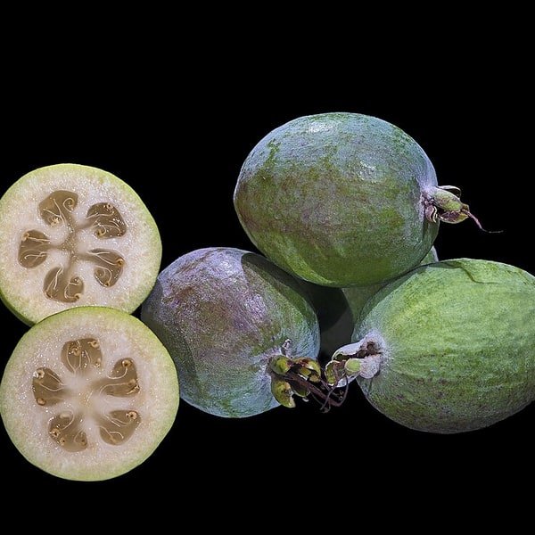 Feijoa Pineapple Guava