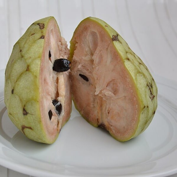 Cherimoya Custard Apple